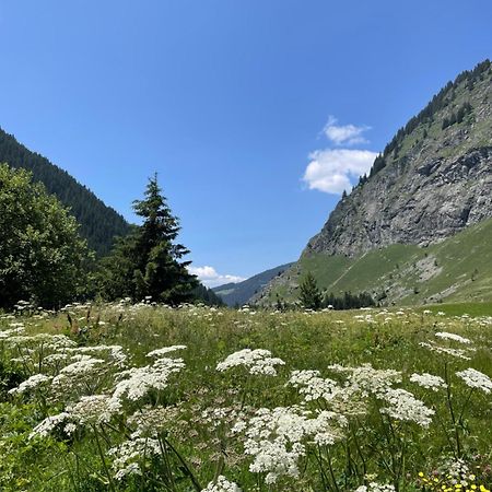 T2 Vue Sur Le Parc De La Vanoise La Plagne Exteriér fotografie